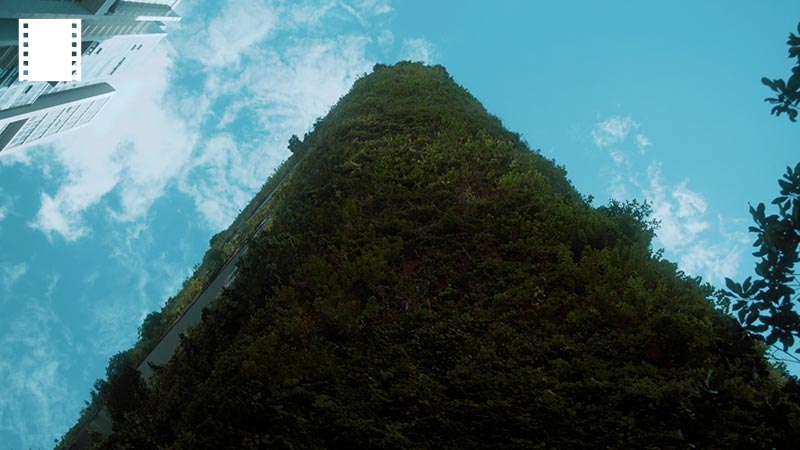 Like a tree in the middle of Singapore: View from the street to the Oasia Hotel’s sky-high barrel. A Green Building concept that allows tropical megacities to breathe